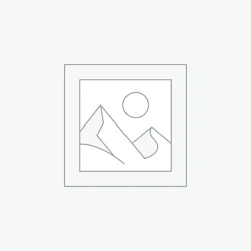 Elevate Coaching Program